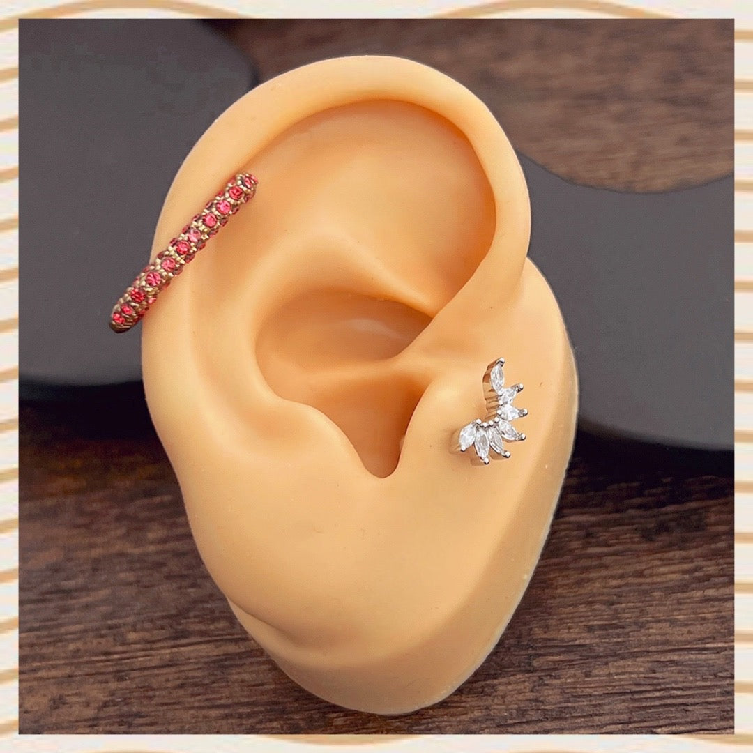 SL 1 ear
