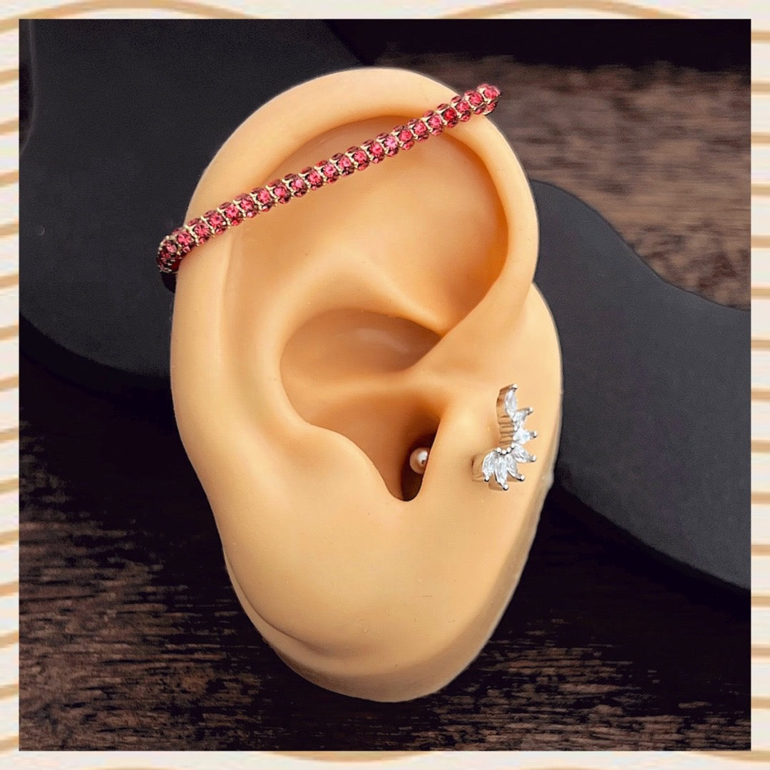 L 1 ear