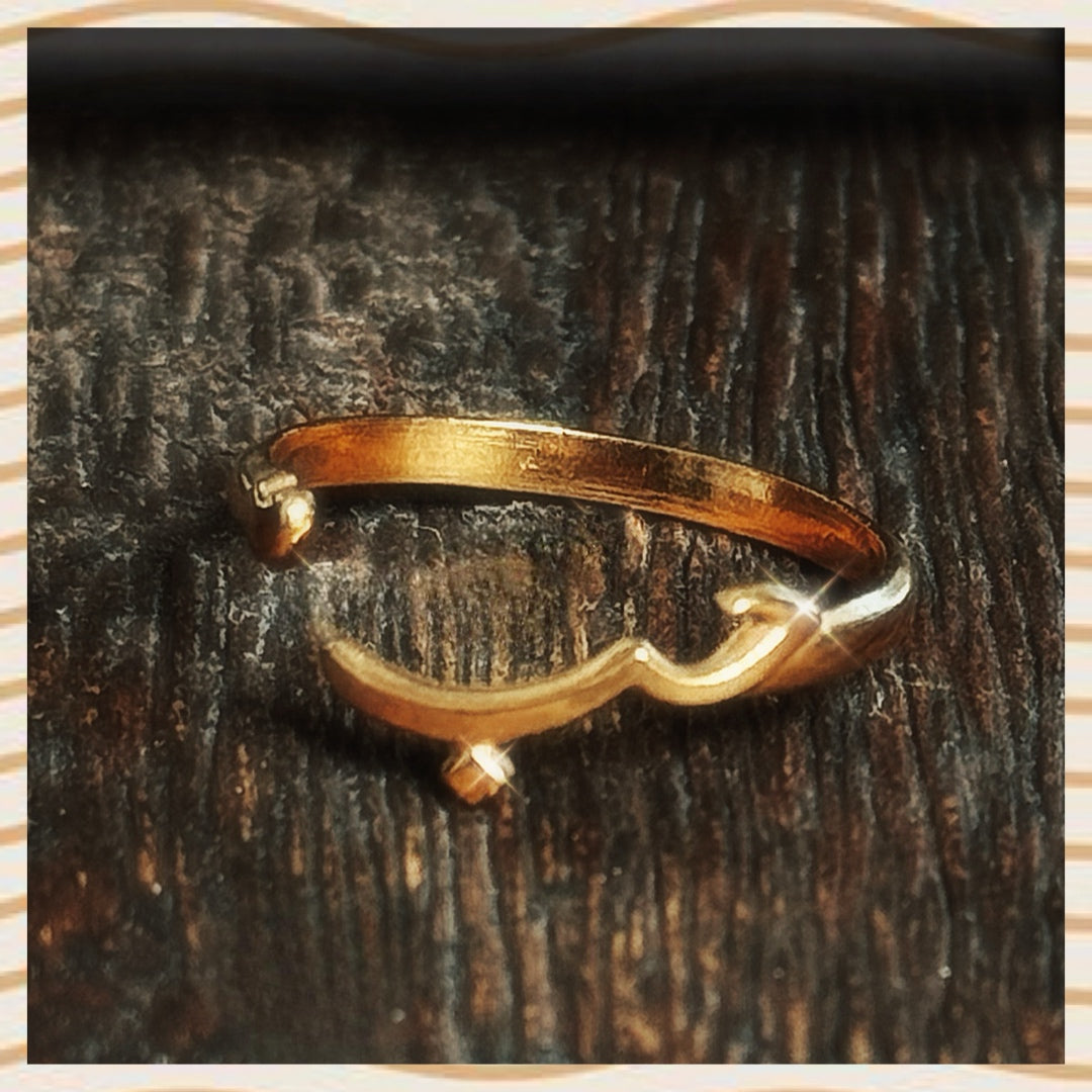 حب Ring